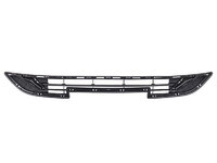 M6 Front bumper grille central (HVL20011602)