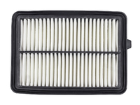 ENVIX Air filter (HDL010172206)