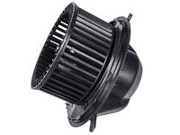 A-CLASS Heater blower motor (DBL17240101)