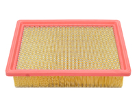 SUNRAY 2020- Air filter (JCL11091104)
