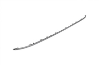 PASSAT Radiator grille molding central (VWL0408015)