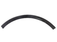 500 Fender flares rear left (TNL29500210L)