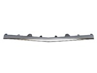 E-CLASS Bumper molding front central (DBL21288526)
