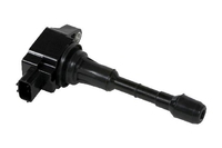 TEANA Ignition coil (NSL24481101)