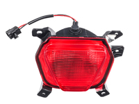 CS55 PLUS Fog lamp (CGL01012022)