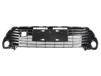 CAMRY Front bumper grille central (L016011700)