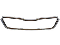 RAPID Radiator grille molding (SKL6U0853761)