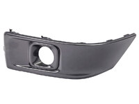 300 Front bumper grille with fog light holes left (TNL2110133L)