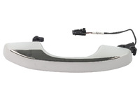 MONJARO Door handle front right external (GLL29099600R)