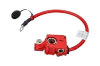 BMW X1 Positive terminal (BML05708004)