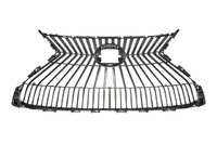 ES Radiator grille (LXL01183737)