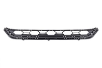 TIGUAN Front bumper grille central (VWL17006006)