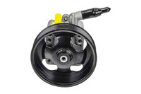 TEANA Power steering pump (NSL49110111)