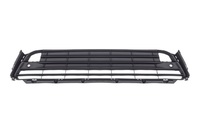 RX Front bumper grille bottom (LXL04160808)