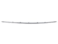 S-CLASS Bumper molding front bottom (DBL22288516)