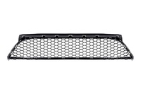 LOGAN Front bumper grille central (RNL57911818)