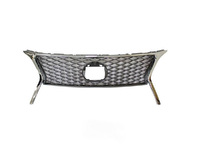 RX Radiator grille (LXL25648100LR)