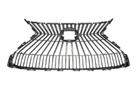 ES Radiator grille (LXL01183737)