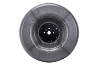 ECOSPORT Spare wheel cover inner (FDL02803737)