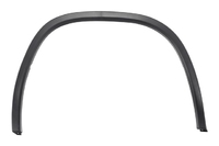 KODIAQ Fender flares rear right (SKL565016021RR)