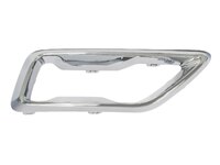 CS55 PLUS Radiator grille molding rear left (CGL01012016L)