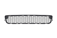 S80 Front bumper grille central (VVL00306706)