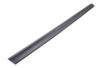 X-TRAIL Door molding front right (NSL011601FR)