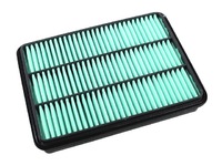 LAND CRUISER PRADO Air filter (TY1780130040)