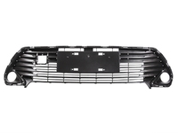 CAMRY Front bumper grille central (L016011700)