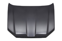 LAND CRUISER PRADO bonnet (TYL01180034)