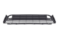 RX Front bumper grille bottom (LXL04160808)