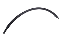 SANDERO Fender molding rear right (RNL579207RR)