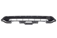 F7 Front bumper grille (HVL70023023)