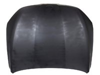 K5 bonnet (HKL05214343)