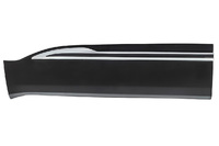 TIGGO 4 Door molding front left (CRL40210018L)