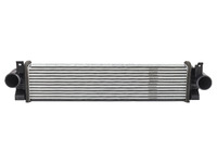 TIGGO 9 2023- Intercooler radiator (JEL29090785)