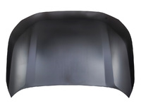 RAV4 bonnet (TYL13194343)