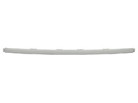 M6 Bumper molding rear central (HVL16046061)