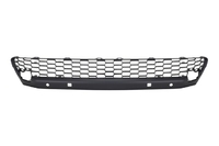 NX Front bumper grille central (LXL10789044)