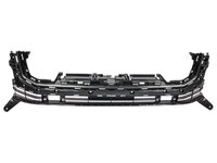 LAND CRUISER Front bumper grille (TYL29090132)