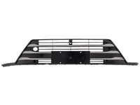 LX Radiator grille (EXL29095013)