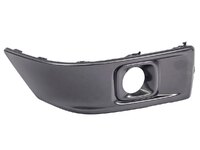 300 Front bumper grille with fog light holes right (TNL2110133R)