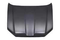 LAND CRUISER PRADO bonnet (TYL01180034)