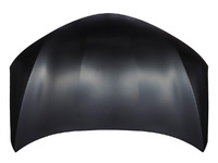 RAV4 bonnet (TYL13124343)