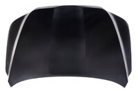 LAND CRUISER bonnet (TYL75047504)