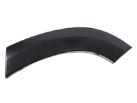 RAV4 Fender flares rear left (L070019800RFL)