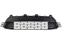 RIO Bumper grille (HKL19721708)