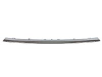 JOLION Bumper molding front central (HVL01901900)