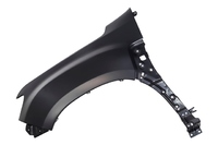 DUSTER Fender front left (RNL0579391L)