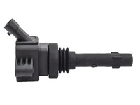 SUNRAY 2020- Ignition coil (JEL10261090)